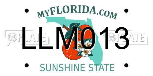 LLM013 Florida License Plate