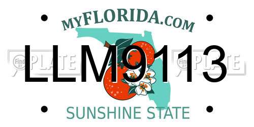 LLM9113 Florida License Plate