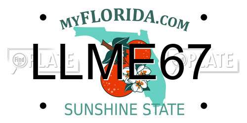 LLME67 Florida License Plate