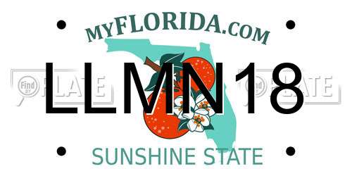 LLMN18 Florida License Plate
