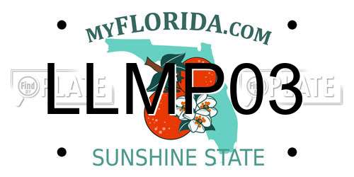 LLMP03 Florida License Plate