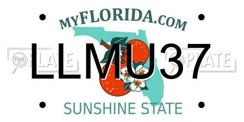 LLMU37 Florida License Plate