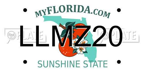 LLMZ20 Florida License Plate