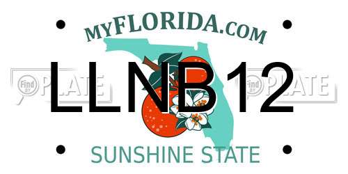 LLNB12 Florida License Plate
