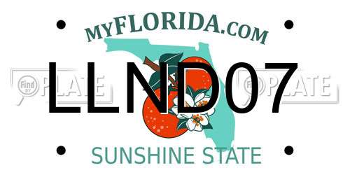 LLND07 Florida License Plate