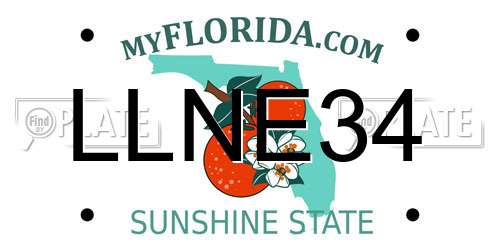 LLNE34 Florida License Plate