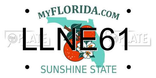 LLNE61 Florida License Plate