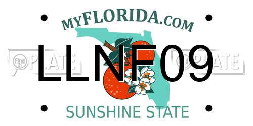 LLNF09 Florida License Plate