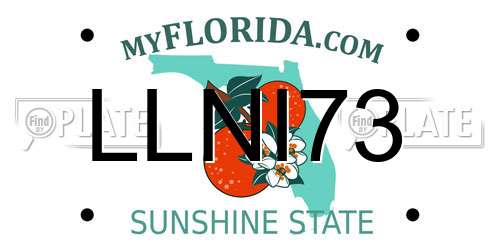 LLNI73 Florida License Plate