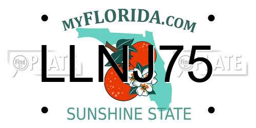 LLNJ75 Florida License Plate