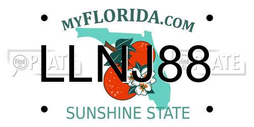 LLNJ88 Florida License Plate