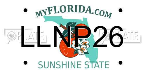 LLNP26 Florida License Plate