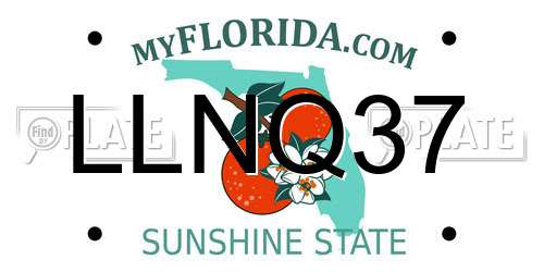 LLNQ37 Florida License Plate