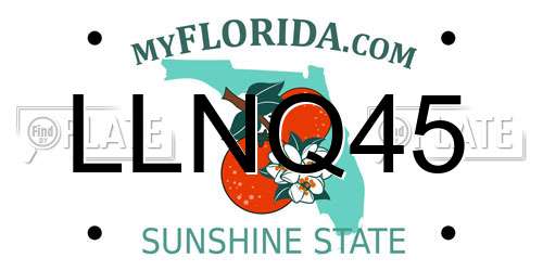 LLNQ45 Florida License Plate