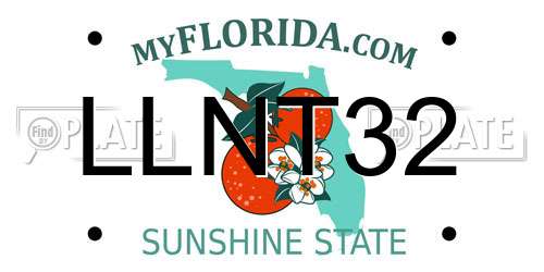 LLNT32 Florida License Plate