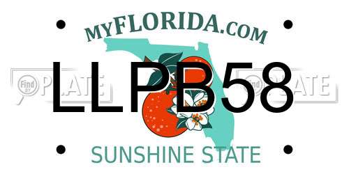 LLPB58 Florida License Plate