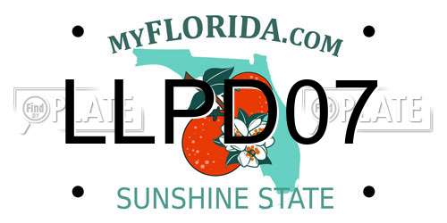 LLPD07 Florida License Plate