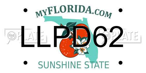 LLPD62 Florida License Plate