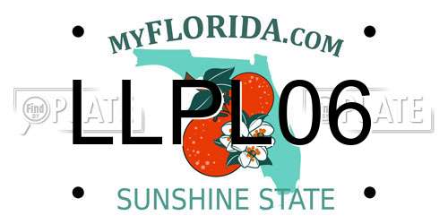 LLPL06 Florida License Plate