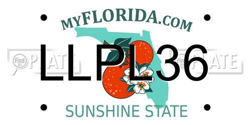 LLPL36 Florida License Plate