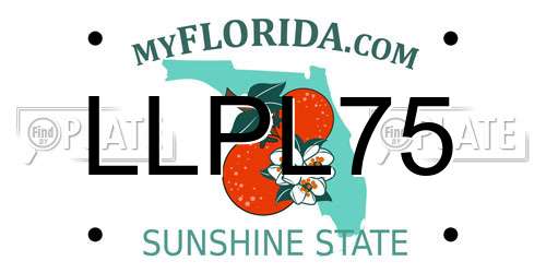 LLPL75 Florida License Plate