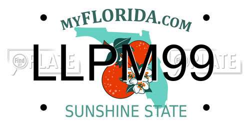 LLPM99 Florida License Plate