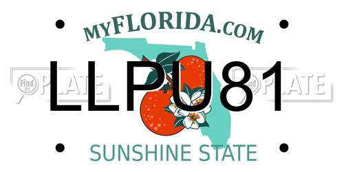 LLPU81 Florida License Plate