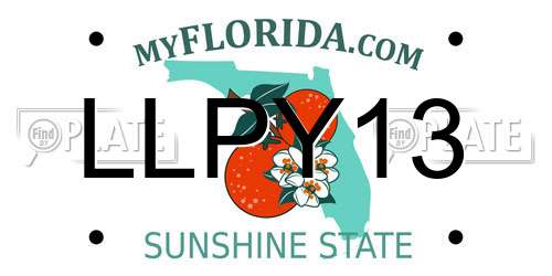 LLPY13 Florida License Plate
