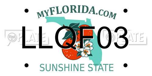 LLQF03 Florida License Plate