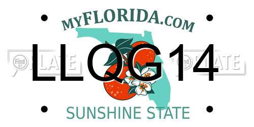 LLQG14 Florida License Plate