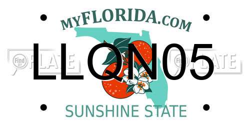 LLQN05 Florida License Plate