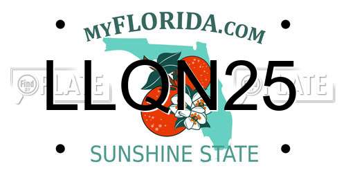 LLQN25 Florida License Plate