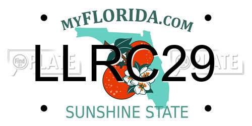 LLRC29 Florida License Plate