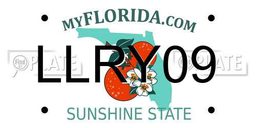 LLRY09 Florida License Plate