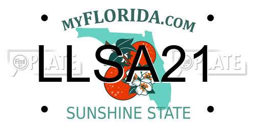 LLSA21 Florida License Plate