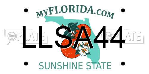 LLSA44 Florida License Plate