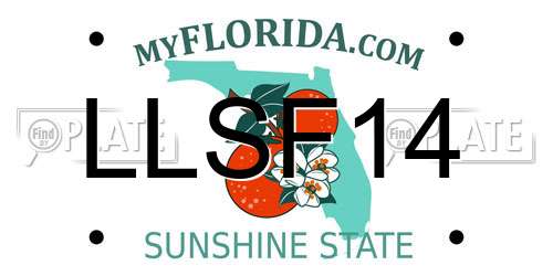 LLSF14 Florida License Plate
