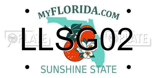 LLSG02 Florida License Plate