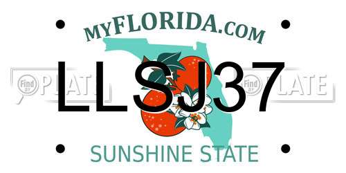 LLSJ37 Florida License Plate