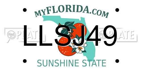 LLSJ49 Florida License Plate
