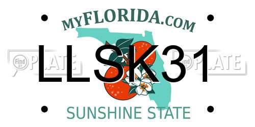 LLSK31 Florida License Plate