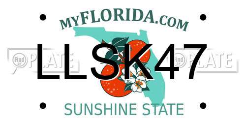 LLSK47 Florida License Plate