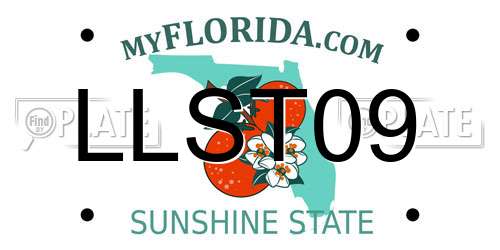 LLST09 Florida License Plate
