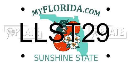 LLST29 Florida License Plate