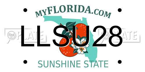 LLSU28 Florida License Plate