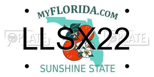 LLSX22 Florida License Plate
