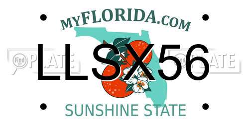 LLSX56 Florida License Plate