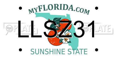 LLSZ31 Florida License Plate