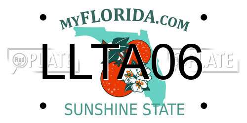 LLTA06 Florida License Plate
