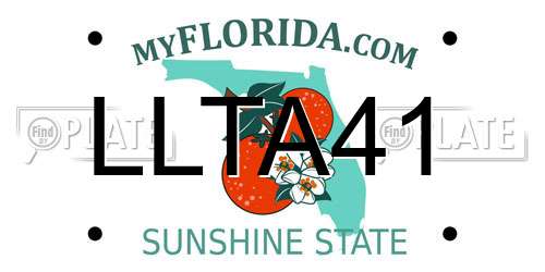 LLTA41 Florida License Plate